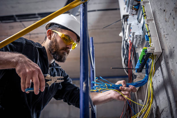 Best Electrical Repair Services  in Frostproof, FL